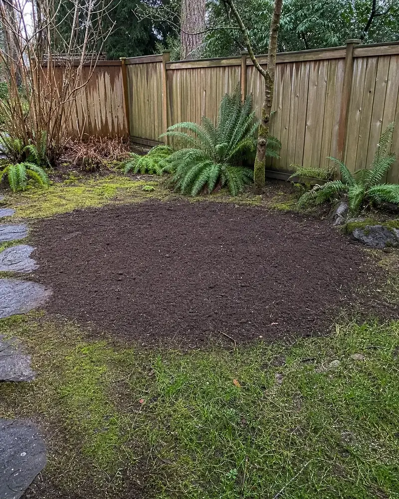 Finished yard after Clear Grade stump grinding, cleanup, and topsoil restoration