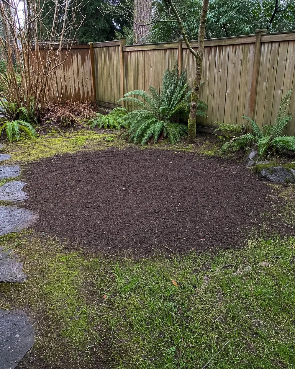 Finished yard after Clear Grade stump grinding, cleanup, and topsoil restoration