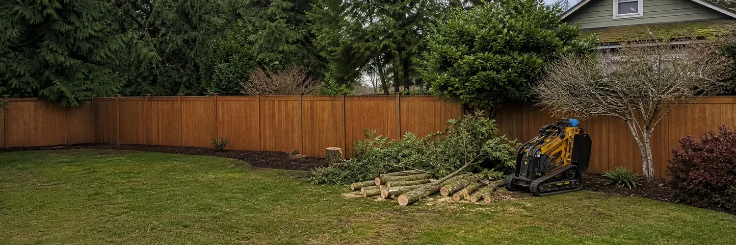Small tree removal by Clear Grade for a residential yard
