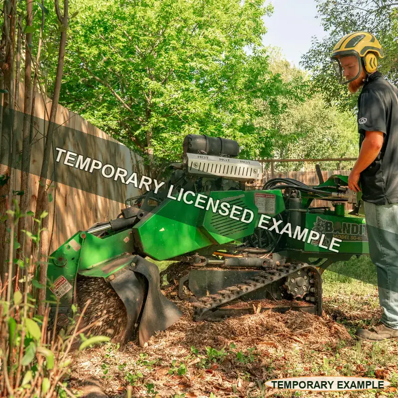 Temporary licensed example of a track stump grinder working in a residential yard