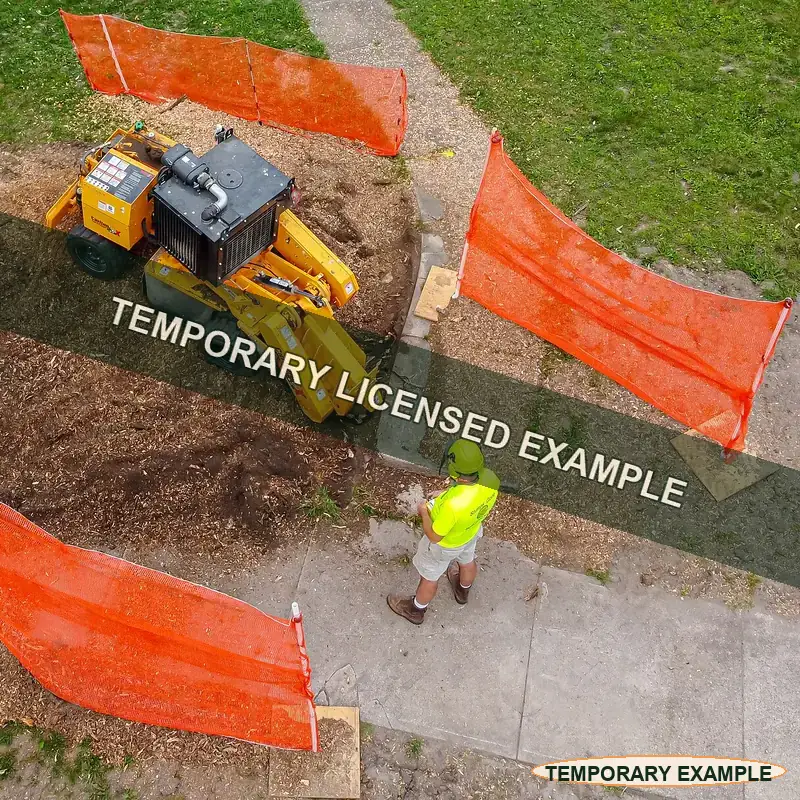 Temporary licensed example of a stump grinder working below grade in a controlled work area