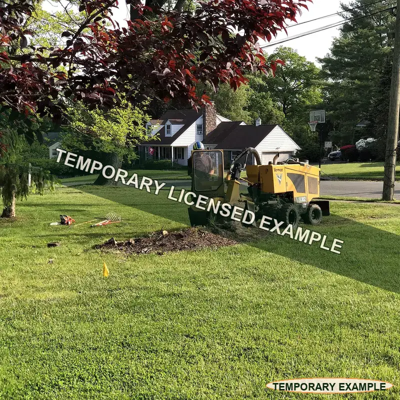 Temporary licensed example of a walk-behind stump grinder working on a lawn