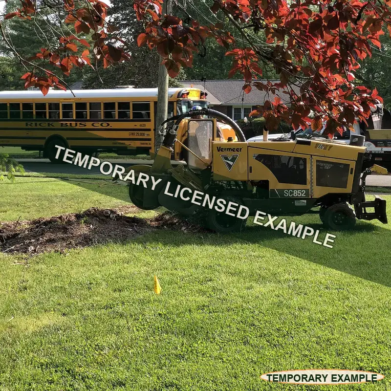 Temporary licensed example of a stump grinder producing wood chips during stump removal